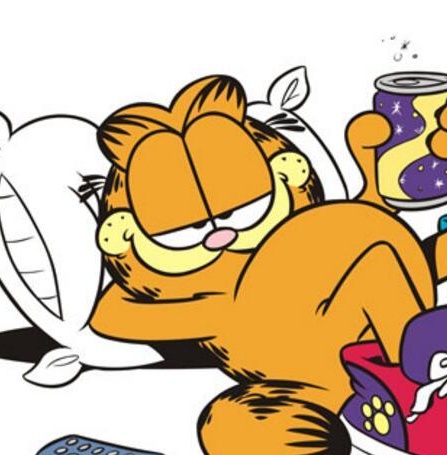 《加菲猫/Garfield 》吉姆·戴维斯创作  MOBI版电子漫画【01-10卷完结】—–Kindle/JPG/Mobi/PDF大向-DXM66卡通站