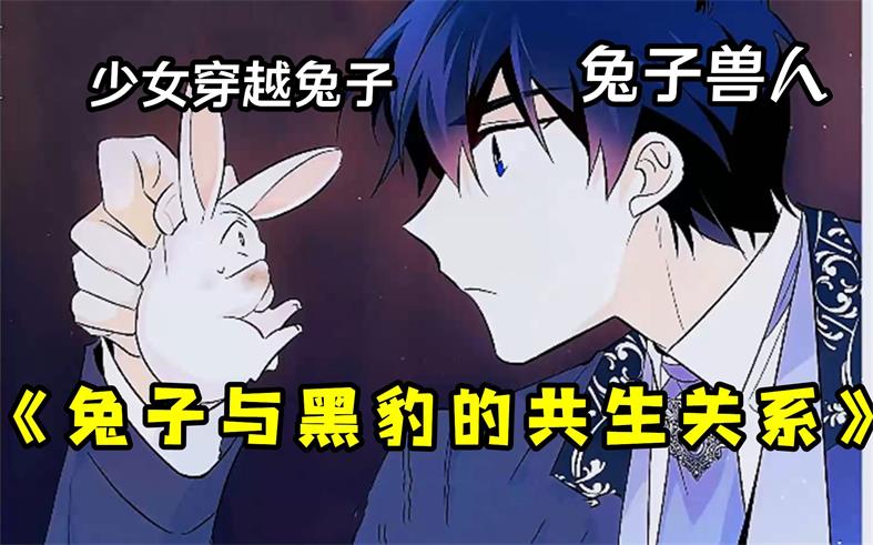 《兔子与黑豹的共生关系》韩创作 PDF电子漫画【01-2季完结】——PDF/MOBI/Kindle漫画下载-DXM66卡通站